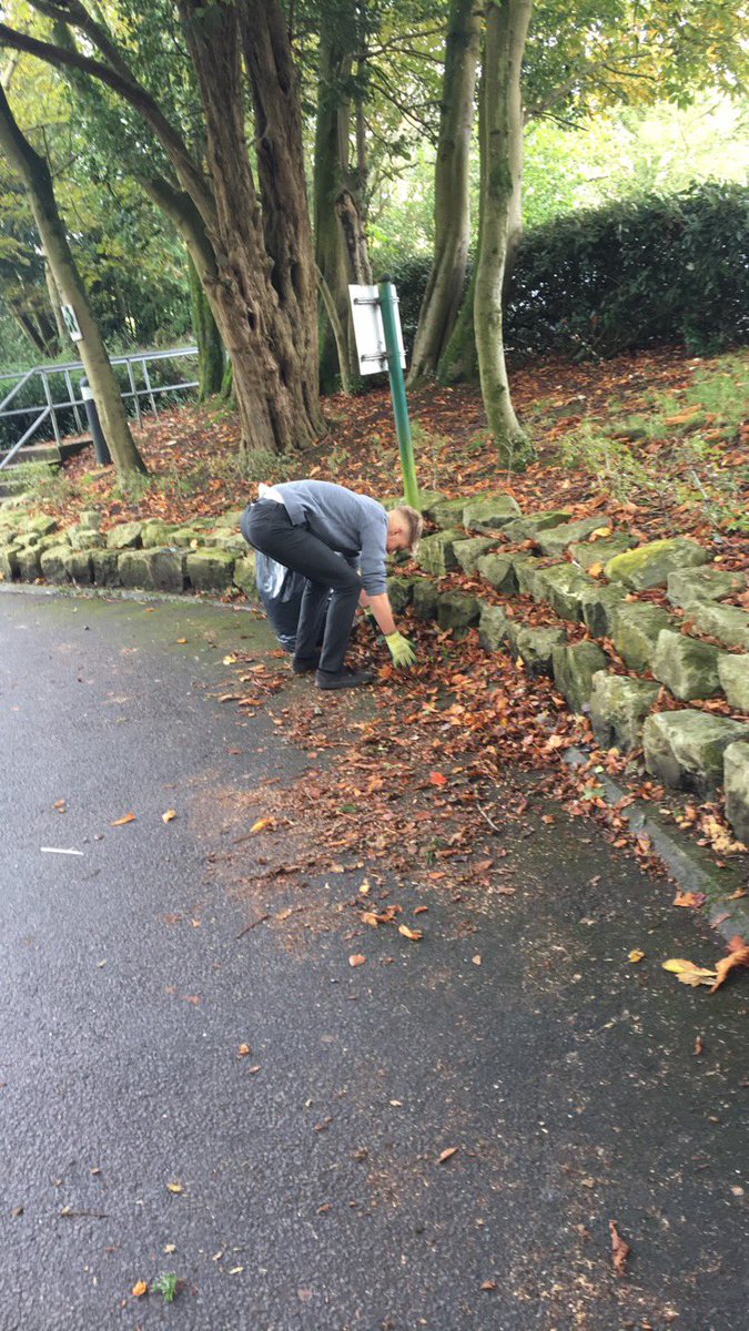 thebugbox1's tweet image. Collecting leaves that’ll be added to the bug house #bugbox