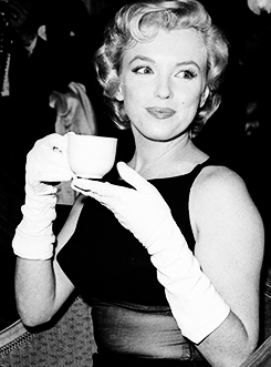 TotaliTea's tweet photo. DYK We have a TEA named after this beauty, of course it's MARILYN, white tea with jasmine, mango, pineapple, papaya, strawberry, sour cherry, apricot and more - truly stunning just like HER! #looseleaftea #makingteacool #localchoice @cgyfarmersmarkt https://t.co/Q0QNEsA5nY