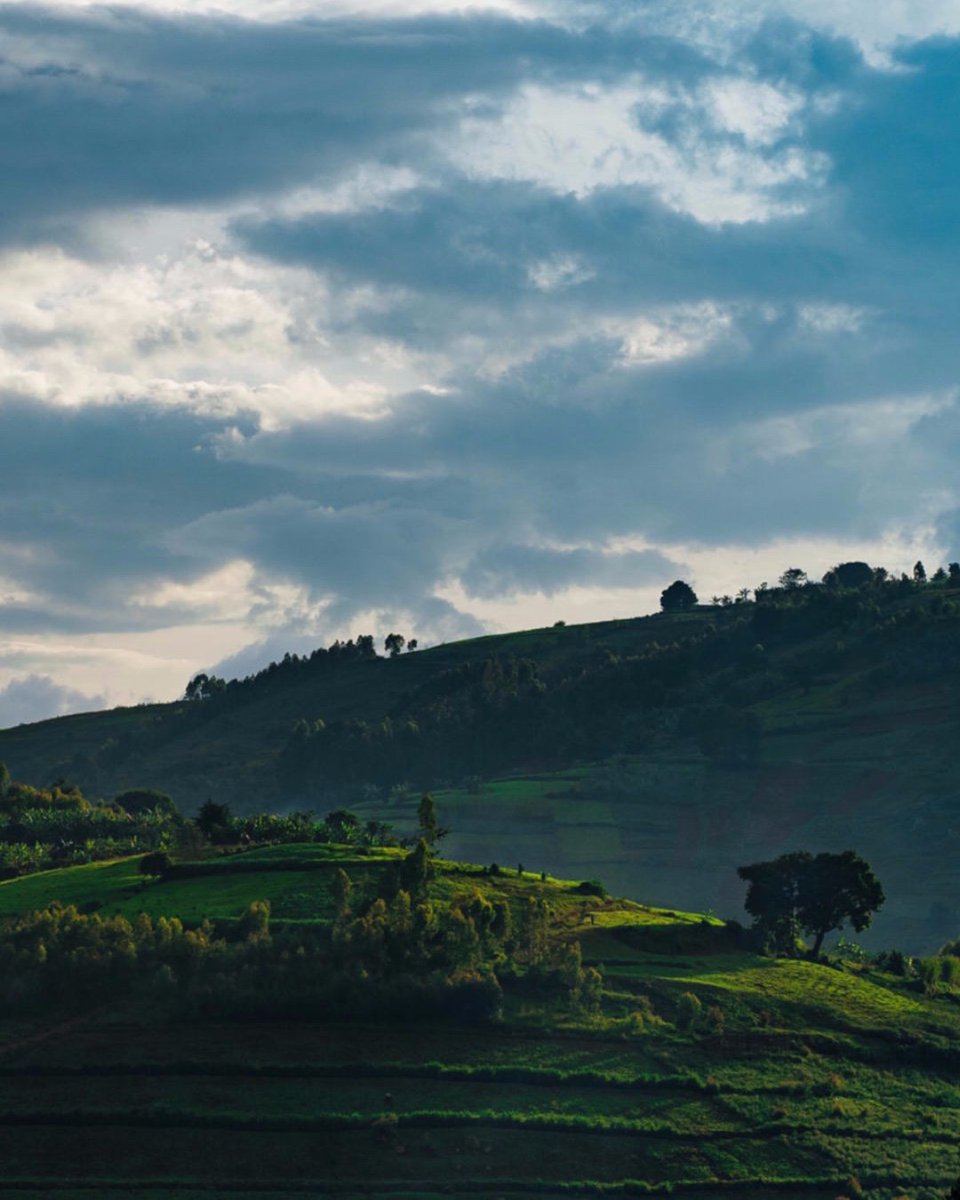 Chicamod's tweet photo. The land of a thousand hills --Are cooperatives the solution to the development of local communities?

#cooperative #supportlocal #developing https://t.co/u3xXqbSlnI