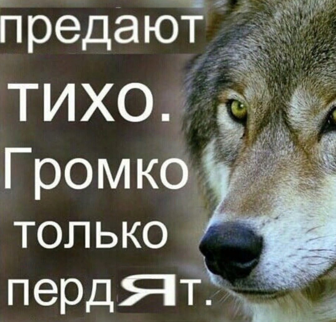 Не лезь в душу