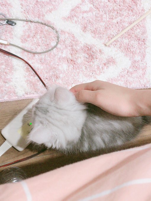 Twitterのコスプレ画像30
