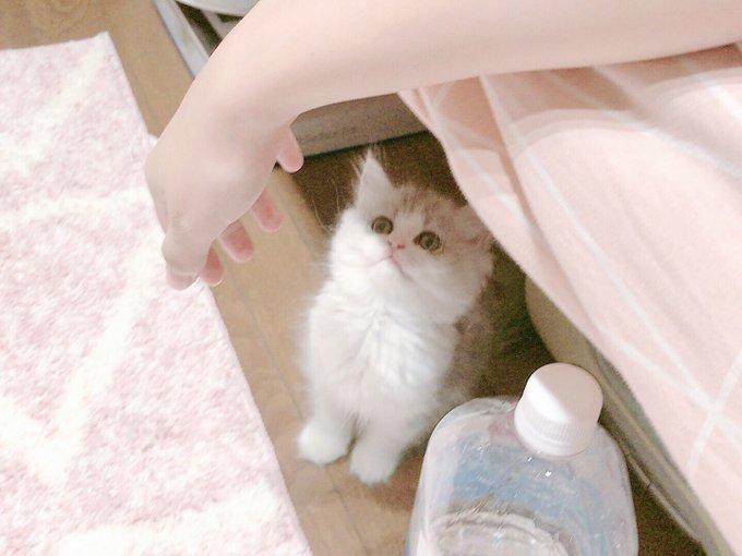 Twitterのコスプレ画像28