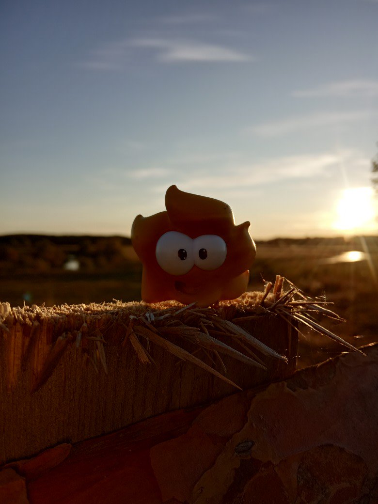 Cut_The_Rope's tweet photo. What is the name of this character? ☀
#CutTheRope #OmNom #TryToGuess https://t.co/cJ1vTlDRaO