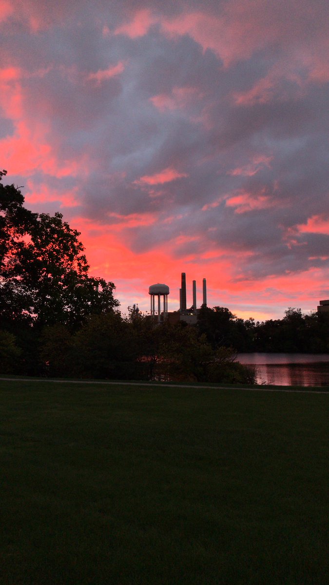 fr. nik guiney, csc tweet media
