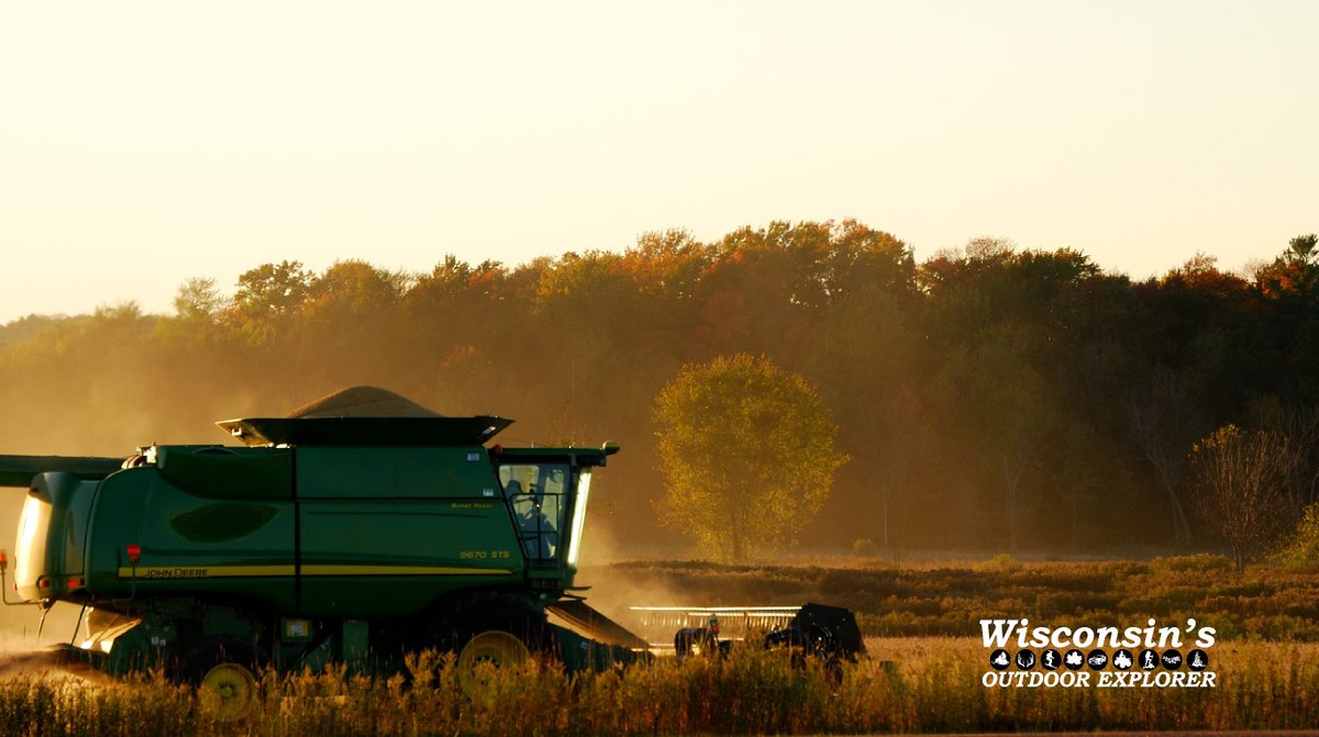 PullingDad's tweet photo. The harvest is in full swing throughout Wisconsin.
Are you one of Wisconsin's Outdoor Explorers?
#harvest #farming #Wisconsinfarming https://t.co/nnIUHj6pRn