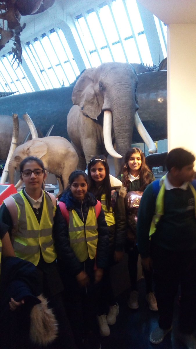 CherryPovall's tweet photo. We're loving the mammal hall
#Y6Trip https://t.co/WLAL7mEwfa