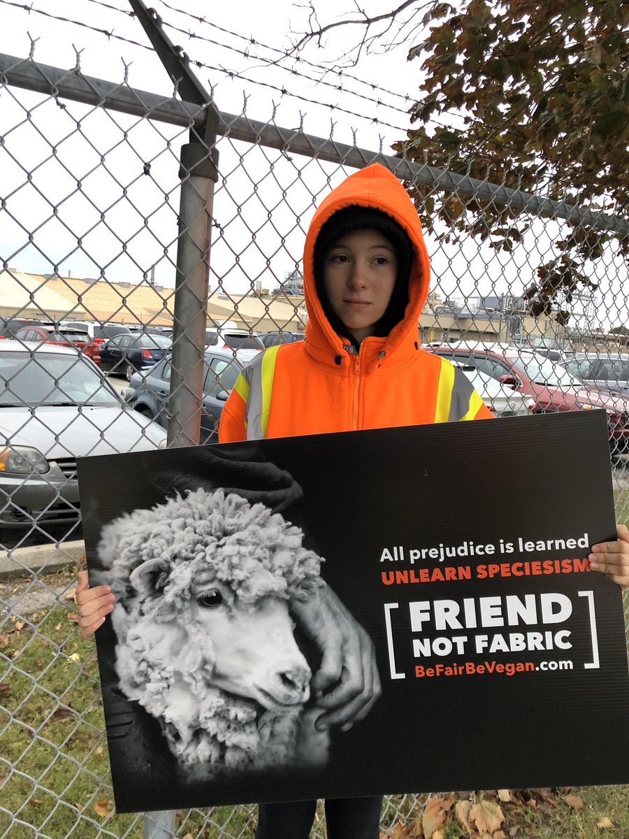 TorontoPigSave's tweet image. Bearing witness to some of the 10,000 pigs killed at Fearmans slaughterhouse every day.

None of them die willingly. They all want to live.

Please don’t pay people to kill them. 

Live vegan and get active.

💔🐷💔

#vegan