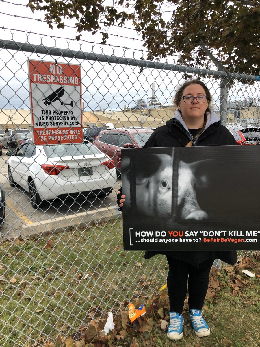 TorontoPigSave's tweet image. Bearing witness to some of the 10,000 pigs killed at Fearmans slaughterhouse every day.

None of them die willingly. They all want to live.

Please don’t pay people to kill them. 

Live vegan and get active.

💔🐷💔

#vegan