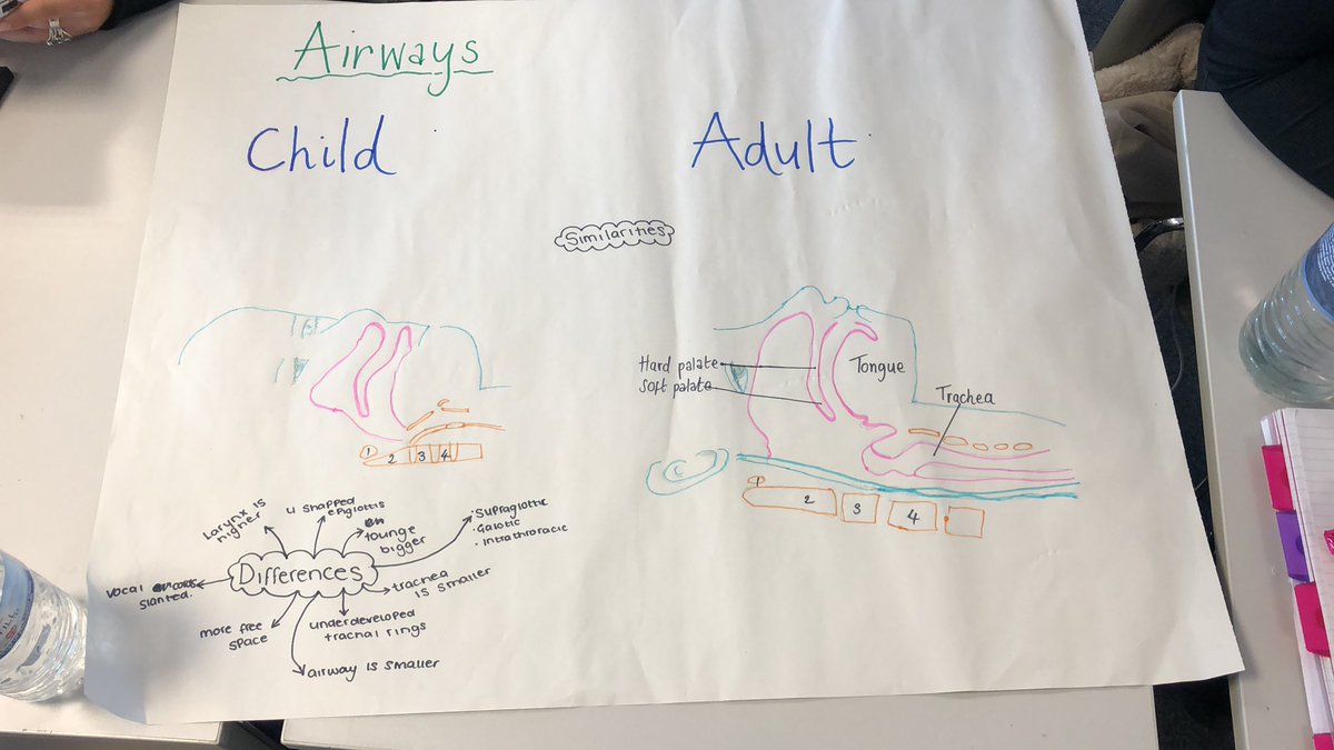 Air way differences between children and adults <a href="/leah_punc/">LeahPUNC🌷</a>  <a href="/mollygriggs8/">Molly Griggs</a> @Euan67715730 <a href="/7punc/">Beth-7punc</a> @PUNC19hjs