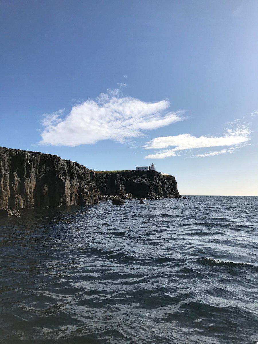 elizabeth tutty (@tutty352) on Twitter photo Gorgeous day on the Farne Islands. #InnerFarne Gorgeous day on the Farne Islands. #InnerFarne