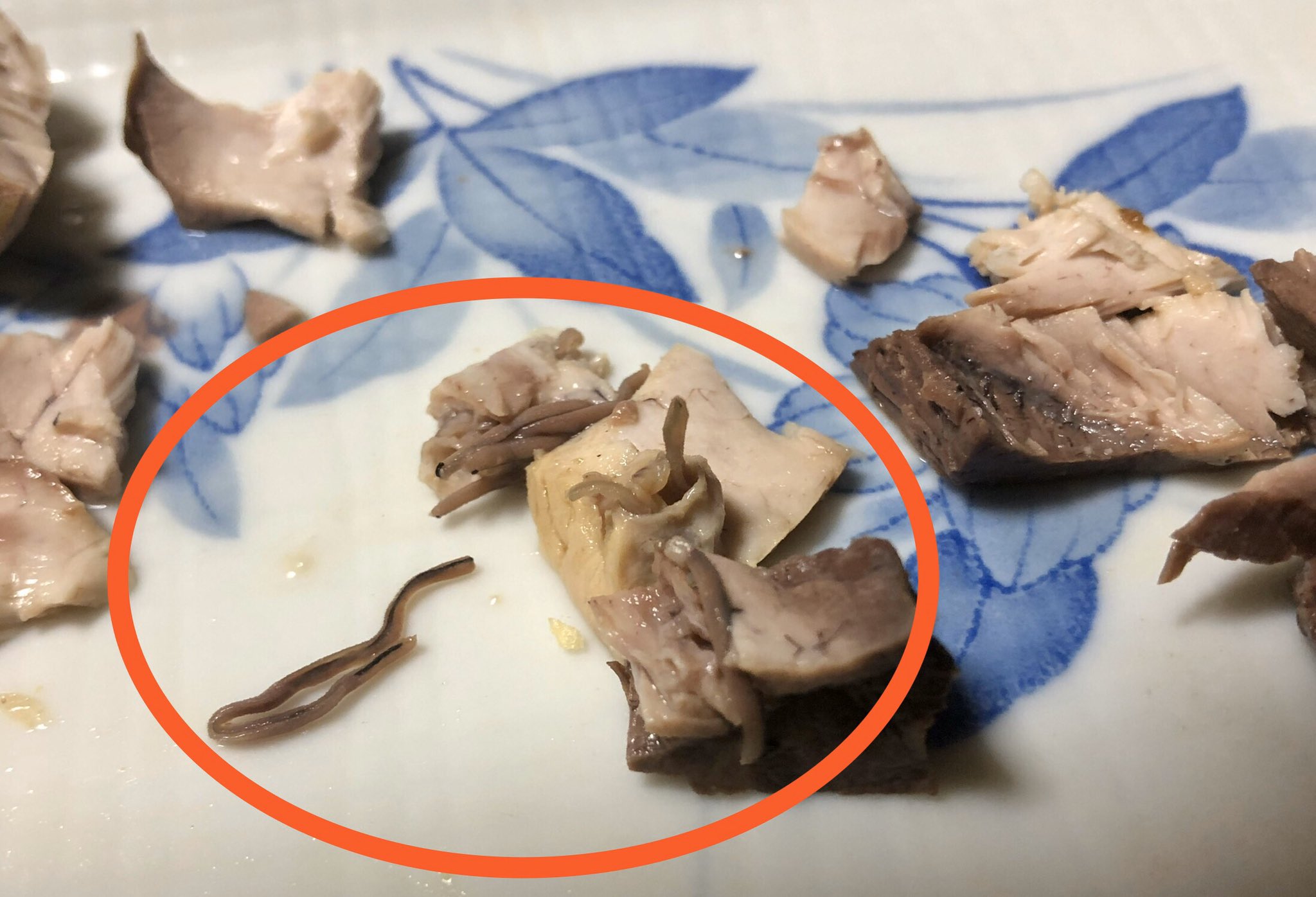 Kayama935 近所のスーパーで買ったさくどりしたブリ 刺身用 に ブリ糸状虫 が R 人体には影響ないがトラウマ グロ注意 ブリ 鰤 寄生虫 ブリ糸状虫 T Co Z5ulwn5n6d Twitter