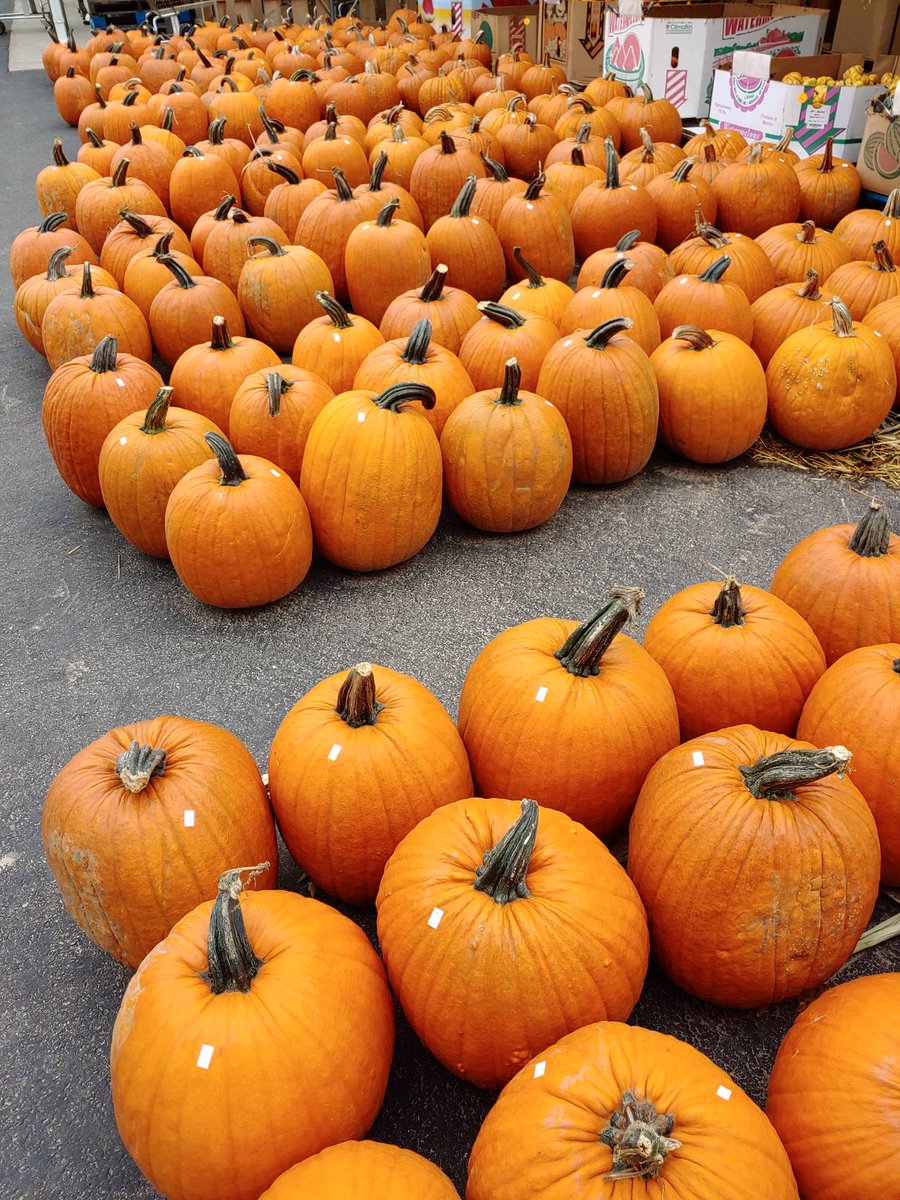 Vintage Halloween tour Tonight!
There's still a couple spots open. Please register by 3pm.
See you there!
facebook.com/events/4853332…