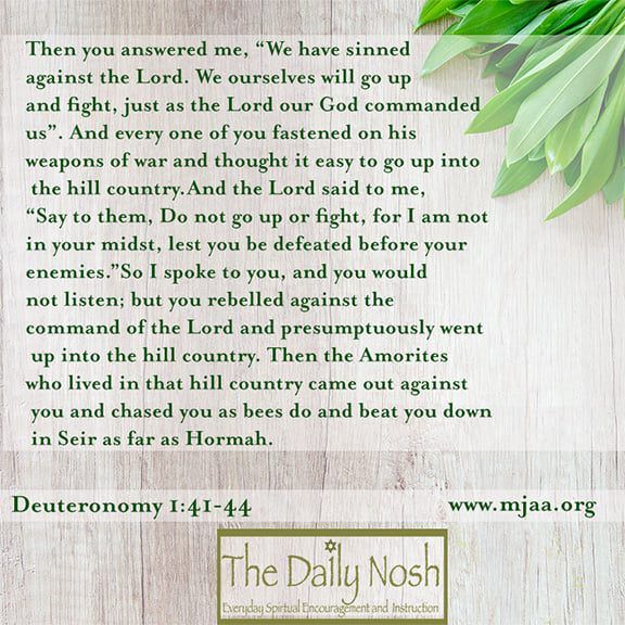 MJAA_ROI's tweet photo. Pursuing something we know is not God’s will, even if we think we have good reason to do it, is a recipe for heartache and failure. Being patient to wait for God’s direction and timing is a recipe for success. #TheDailyNosh #VerseoftheDay #BibleStudy #MJAA https://t.co/Wbn47SzFDm https://t.co/ahWIhBwM4h