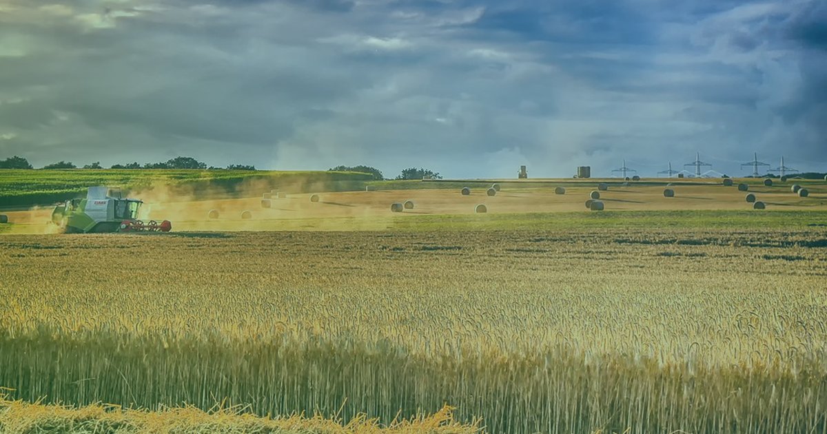 rwstrados's tweet image. PETKUS specializes in seed treatment and grain technology. Read our case study to learn how the installation of #SDLTradosStudio and #SDLMultiTerm played a key role in simplifying PETKUS&apos; project management and improved overall #translation quality: ow.ly/3R5y50wMKRC