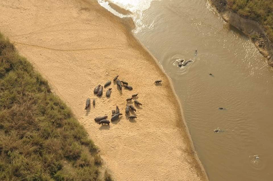 DrcViva's tweet photo. #RDC : le Parc national de #Garamba🇨🇩, l'un de plus vieux parc d'Afrique(1938).#Garamba 🇨🇩est classé parmi les meilleurs destinations touristiques du monde.
.
.
.@DrcViva #visiterdcongo @DarioCongo @TourismeRDCongo
@BunkuluYves #haut_uélé #Garamba https://t.co/06vYrDidXQ