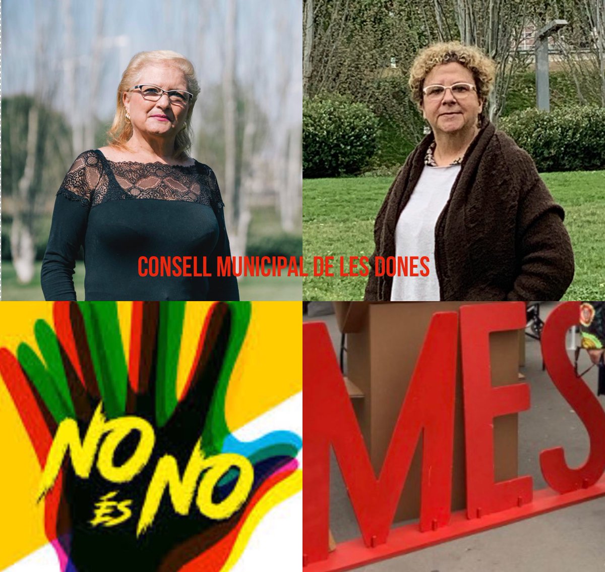 MovEsqSAB's tweet photo. Avui a les 18h a la sala de plens #santadria constitucio #consellmunicipaldelesdones espai de debat, de treball, de reivindicació, de participació de les Dones Adrianenques. Les nostres representants la Montse Viñas i Antonia Hinojosa, bona feina companyes. https://t.co/kJ7rJA7Ics