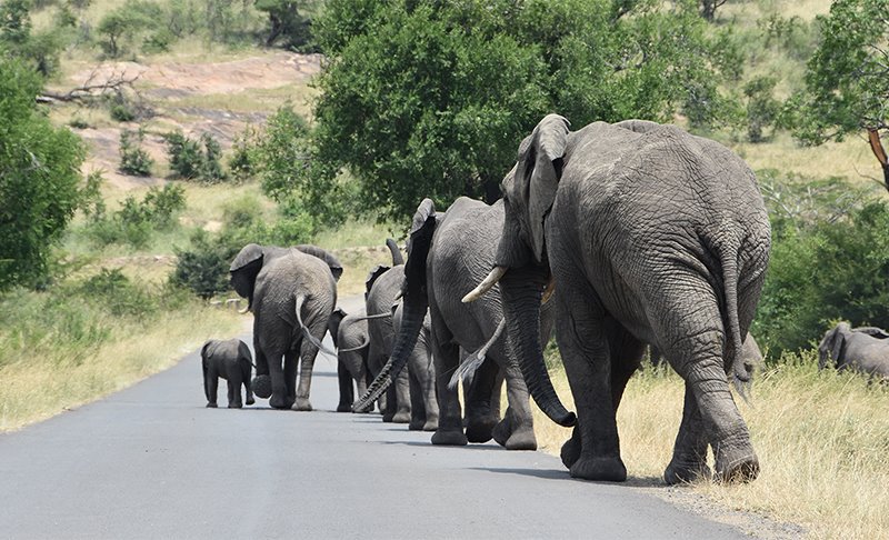 ClassicalMvmts's tweet image. Look to Classical Movements for your next great tour destination.  Whether your destination is daring and unconventional or well-known and well-loved, Classical Movements will take you there. classicalmovements.com/destinations/