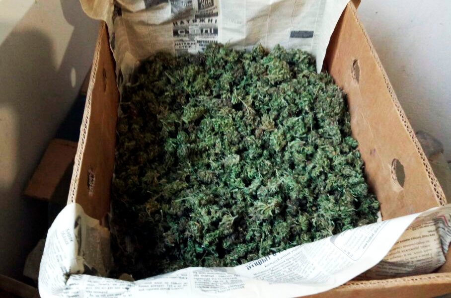 Где купить марихуану в киеве Где купить марихуану в киеве портабельный браузер тор hydraruzxpnew4af