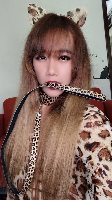 溜貓嗎～喵～ https://t.co/NsXvzhYkrX