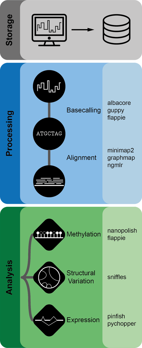 strnr's tweet photo. Nanopype: a modular and scalable nanopore data processing pipeline https://t.co/ZuiXxrdSvs
https://t.co/gQ17bf53Er
https://t.co/MBey93DCnh https://t.co/OvfZZGXXTA