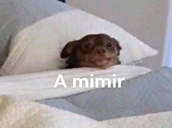 brusnos's tweet image. quando o professor acende o projetor e apaga as luzes