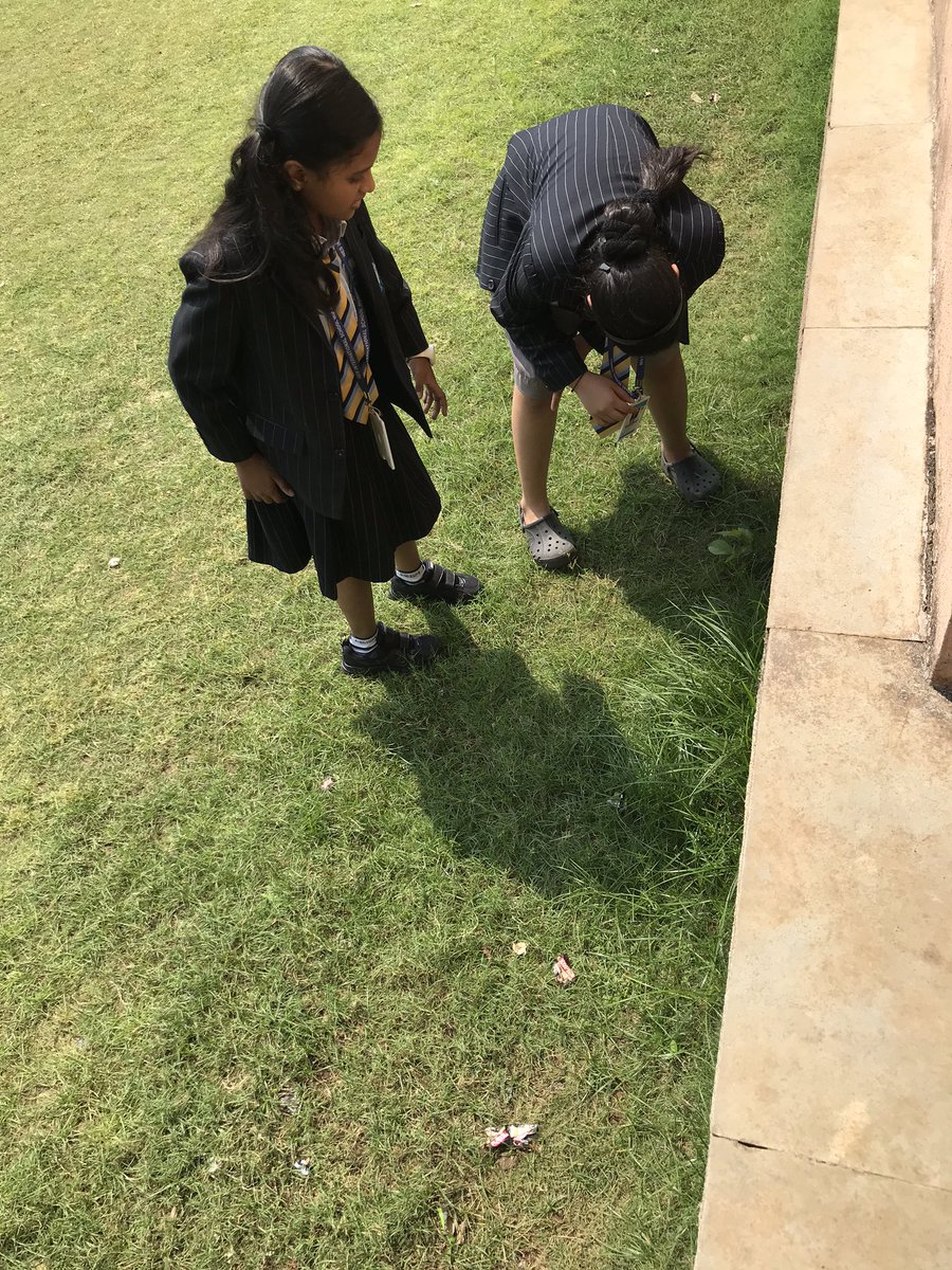 Grade 5 B@NESISM tweet media