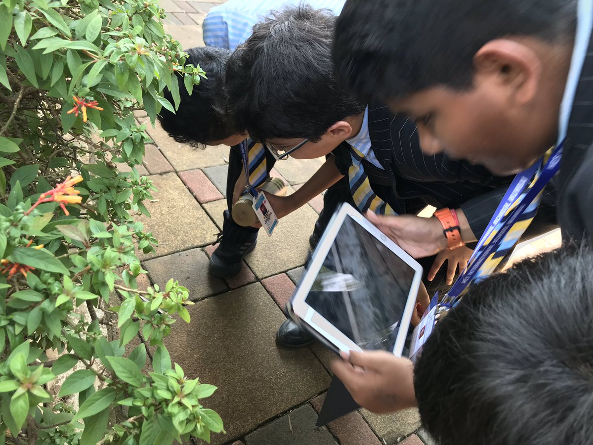 Grade 5 B@NESISM tweet media