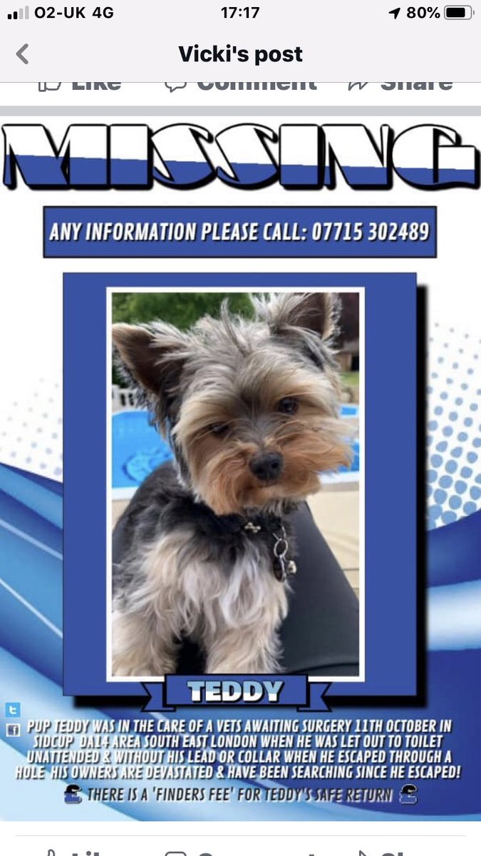 Sammonds_Photo's tweet image. Let’s find this little guy and get him home safely. Check everywhere!