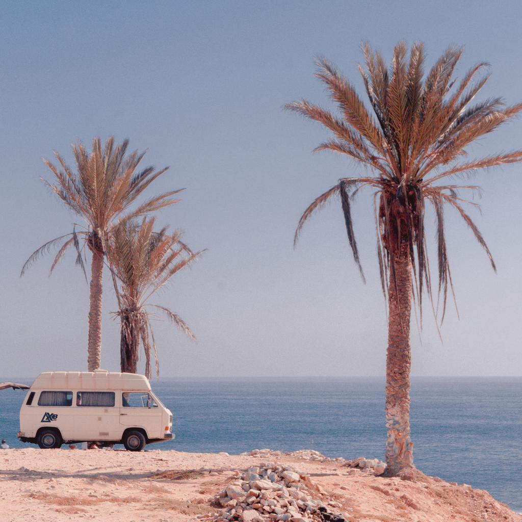 AxbOne's tweet photo. New release coming soon 🌴🍃 https://t.co/pJoW1IRRsX