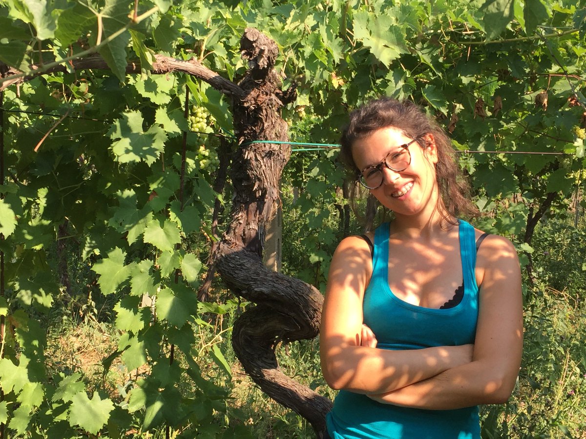 savioselections's tweet photo. So excited to have #CastellodiStefanago #IlRoccolo and @VillaJob at #RAWwineNY2019 #rawwineNYC #RAWwinefair https://t.co/Q1dID03F6B