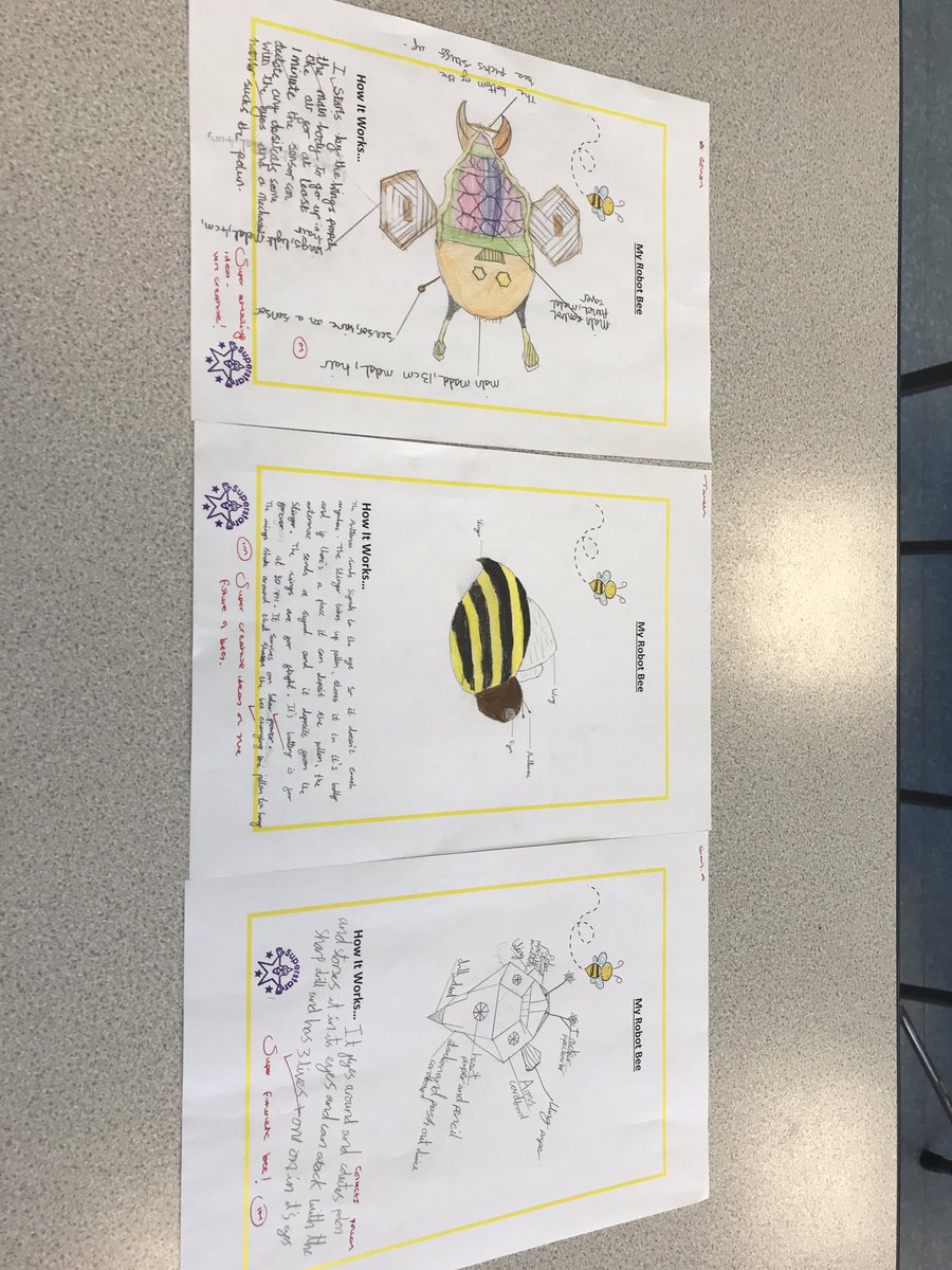 NottsHighIJS's tweet image. Year 5 have been designing their own robot bees - the pathway of the future #somuchmore #futureweek