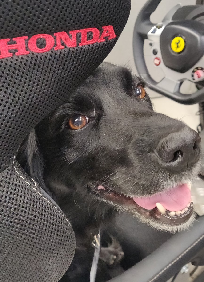 So far, Kit has the fastest time on our VR racing challenge at the B2B show #norfolkb2b19