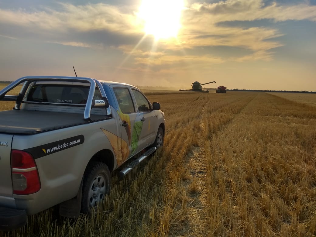 BCCBA's tweet photo. Llegó el 1° Lote de Trigo para el Remate 19/20 🌾
👨🌾Héctor Leonardo Capitanich
📍Campo Largo, Pcia. de Chaco.
🌾Fuste
🚜Siembra - 25/05/19
🚜Cosecha - 03/10/19
.
El lote cumplió con los requisitos Cámara, auditado por nuestros técnicos
#RematedeTrigo https://t.co/PNEtrFCAY2