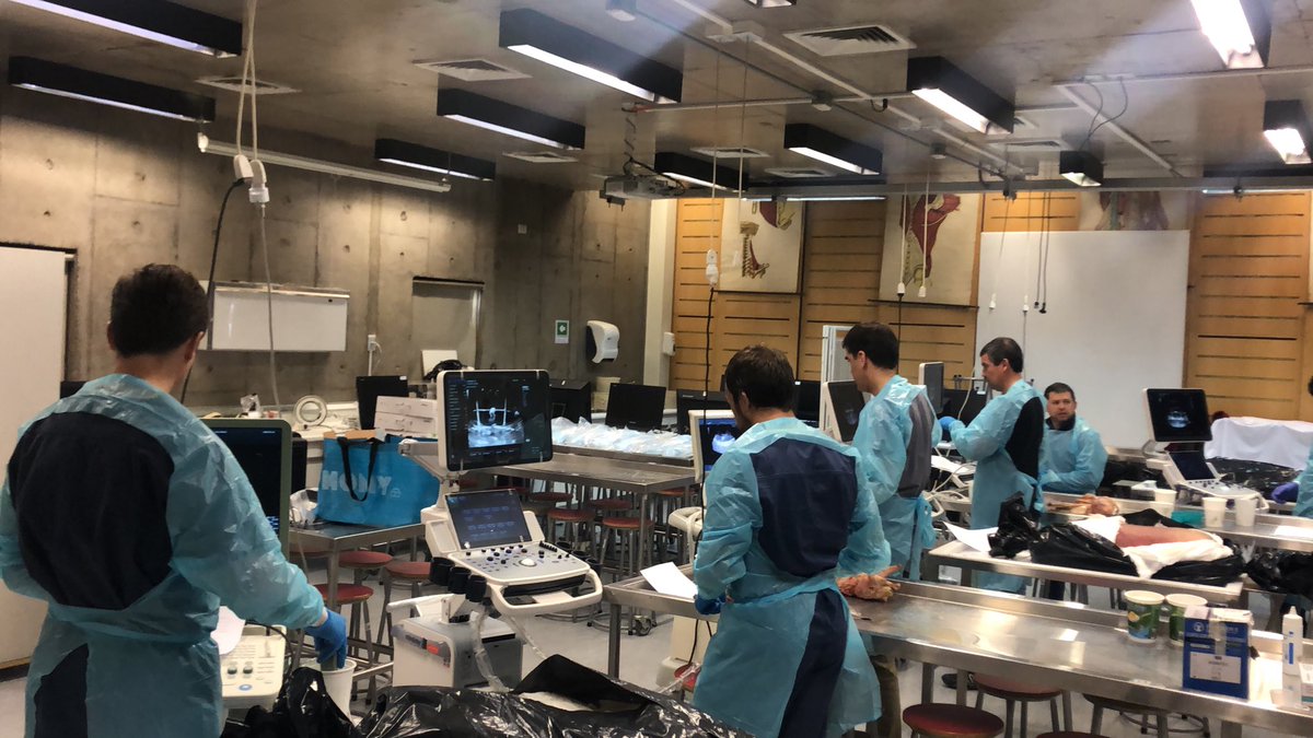 Otro curso de acceso renal guiado por US <a href="/fmarchantg/">FranMarchantG🌻</a> <a href="/adsilvaw/">Andres Silva</a> <a href="/DrDomenechUro/">Alfredo Domenech</a> <a href="/alemirbe/">Alejandro Miranda</a> marioFernandez AlfredKrebs <a href="/UCencomex/">Uro Cencomex</a>