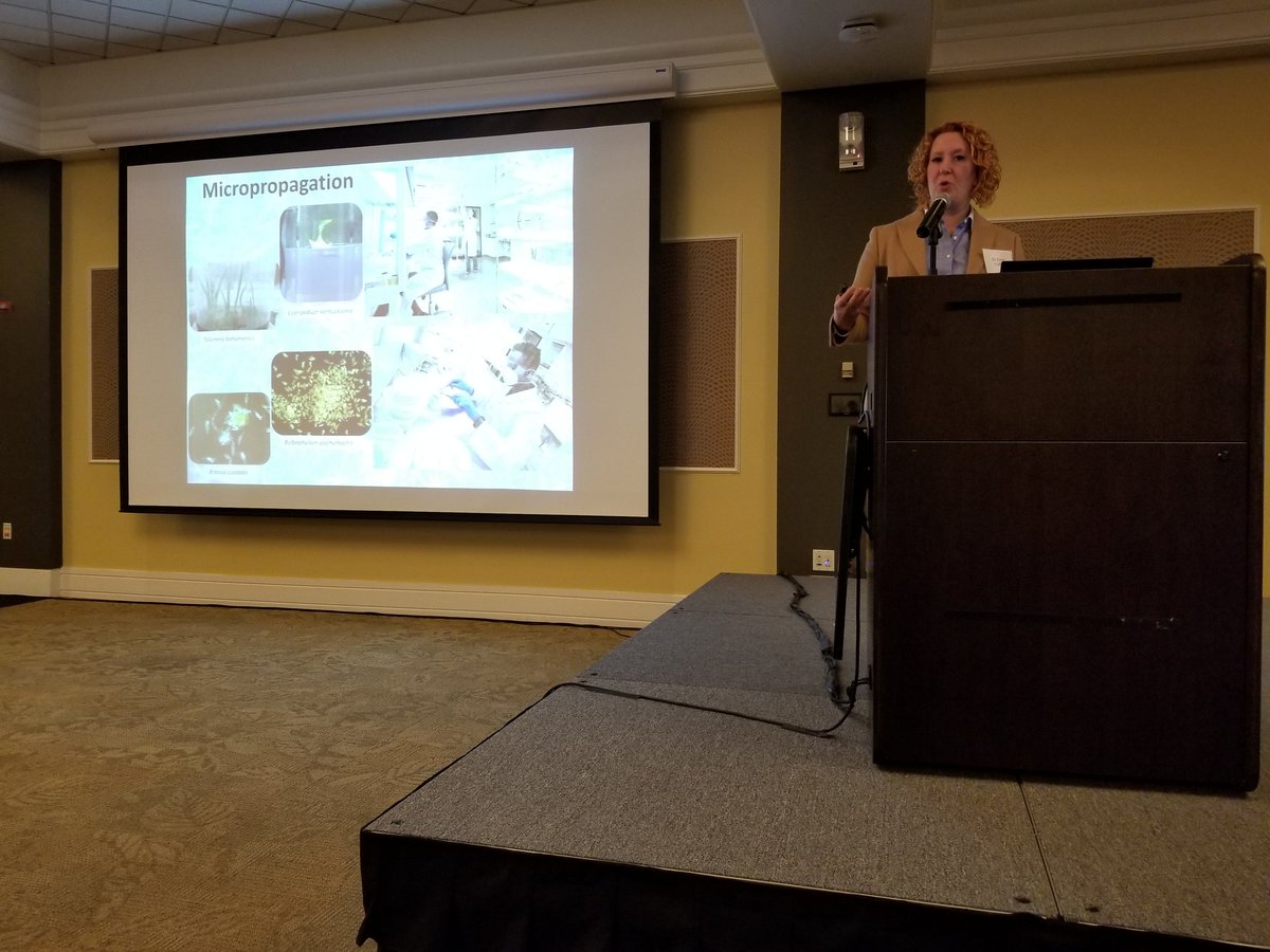 Akram Salam (@akrammsalam) on Twitter photo Did you know that <a href="/AtlBotanical/">Atlanta Botanical Garden</a> does micropropogation to grow and restore tough-to-grow plants? They also do research all over the Southeast US and Caribbean! <a href="/emilyedcoffey/">Emily E.D. Coffey</a> gave a wonderful talk at the <a href="/FranceAtlanta/">Consulate of France in Atlanta 🇫🇷🇪🇺</a> Biodiversity Symposium <a href="/EmoryUniversity/">Emory University</a>! #FranceAtlanta2019 Did you know that <a href="/AtlBotanical/">Atlanta Botanical Garden</a> does micropropogation to grow and restore tough-to-grow plants? They also do research all over the Southeast US and Caribbean! <a href="/emilyedcoffey/">Emily E.D. Coffey</a> gave a wonderful talk at the <a href="/FranceAtlanta/">Consulate of France in Atlanta 🇫🇷🇪🇺</a> Biodiversity Symposium <a href="/EmoryUniversity/">Emory University</a>! #FranceAtlanta2019