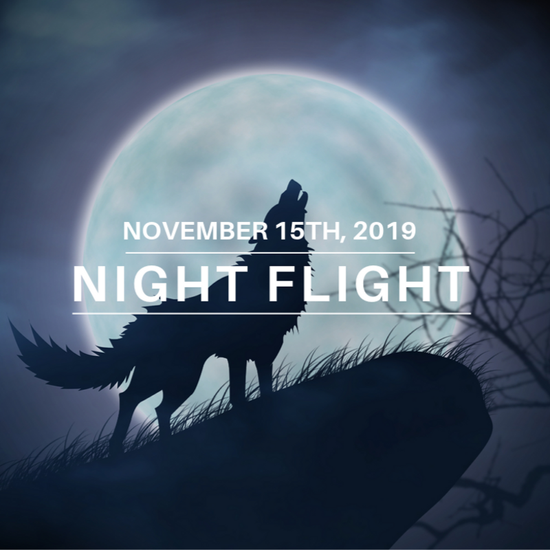 Experience the Soaring Cypress zip line course on the Tree To Tree Adventures’ Night Flights! Learn More Here: bit.ly/fullmoonflight