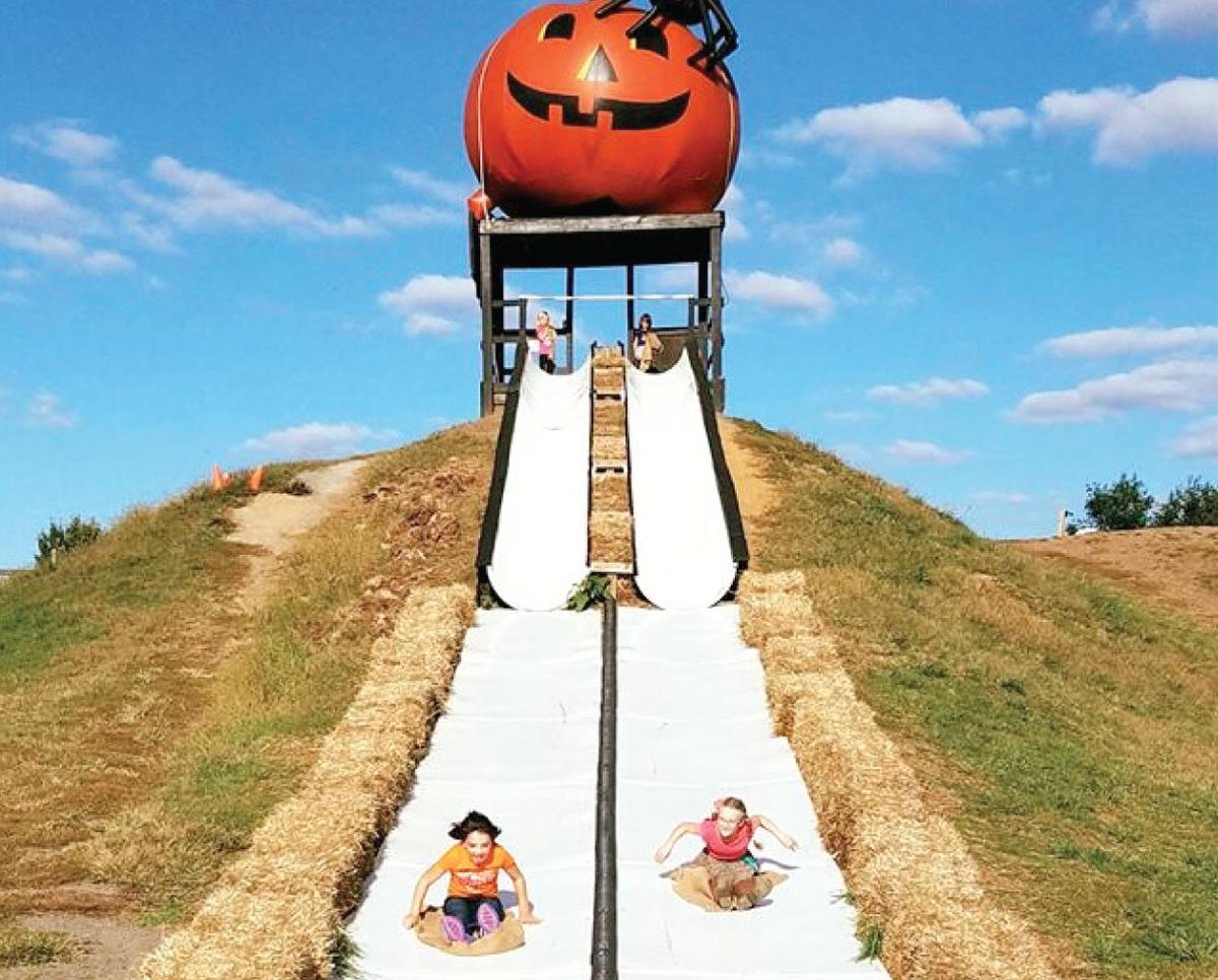 Pumpkin Village Fall Fest is back and filled with fun family activities! Featuring giant hill slides, moon bounces, wagon rides, petting zoo, pedal carts, and more, we’ll be celebrating the best parts of autumn this weekend at Leesburg Animal Park.
pumpkinfestleesburg.com
