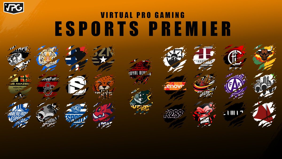Virtual Pro Gaming tweet media