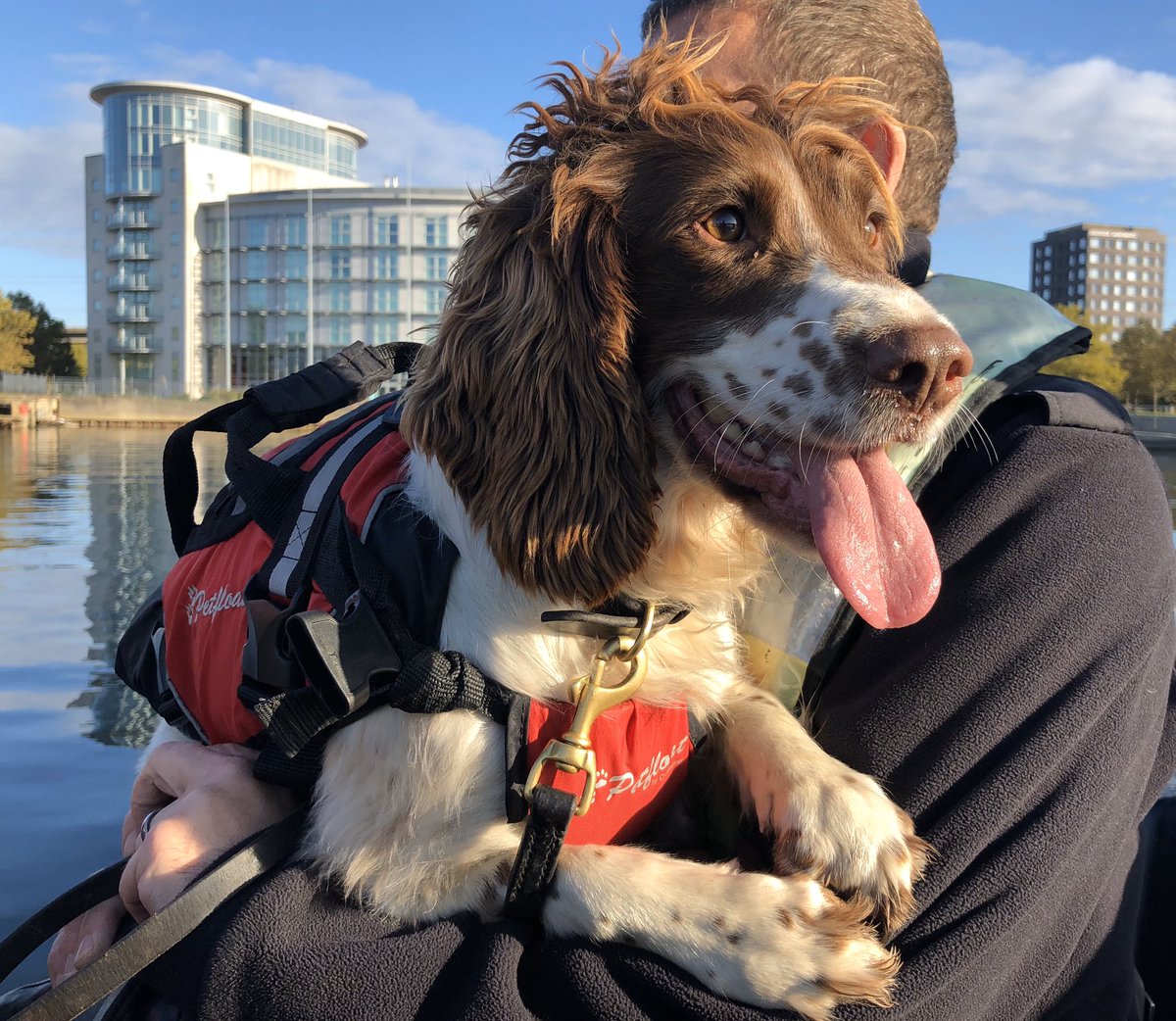 MPSCityAirport's tweet photo. Before the ☔️ came we made sure PD Sky patrolled every square inch of the Docks @LondonCityAir #anothertactic #eyesabout #marinedog https://t.co/hXFRT1BKqV