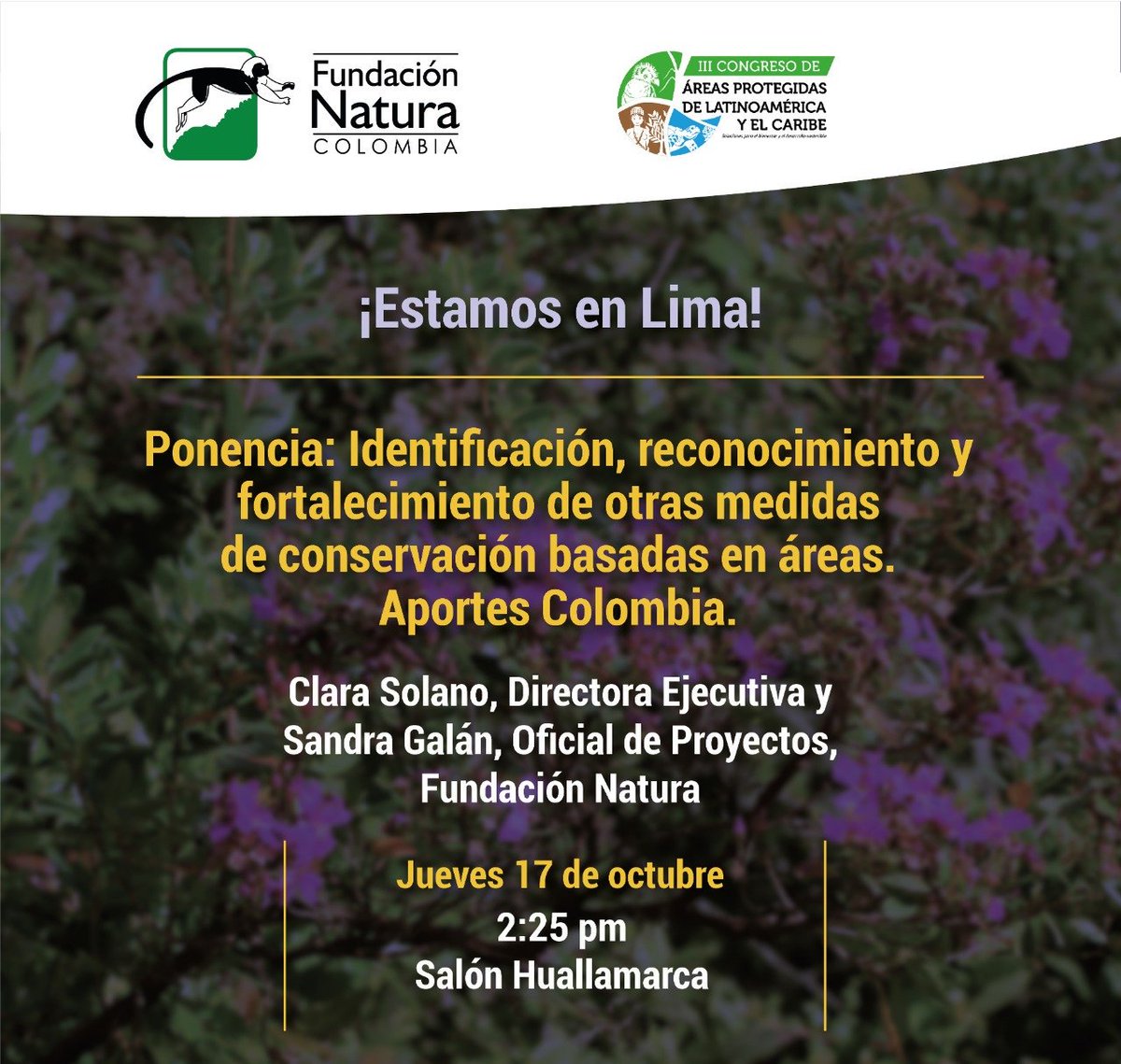 fundacionnatura's tweet image. #Destacado Nuestra Directora Ejecutiva, @clarasolano6 presentará hoy a las 2:25pm, en el marco del #CongresoÁreasProtegidasLAC #IIICAPLAC, la ponencia titulada: Identificación, reconocimiento y fortalecimiento de otras medidas de conservación basadas en áreas. 
Aportes Colombia