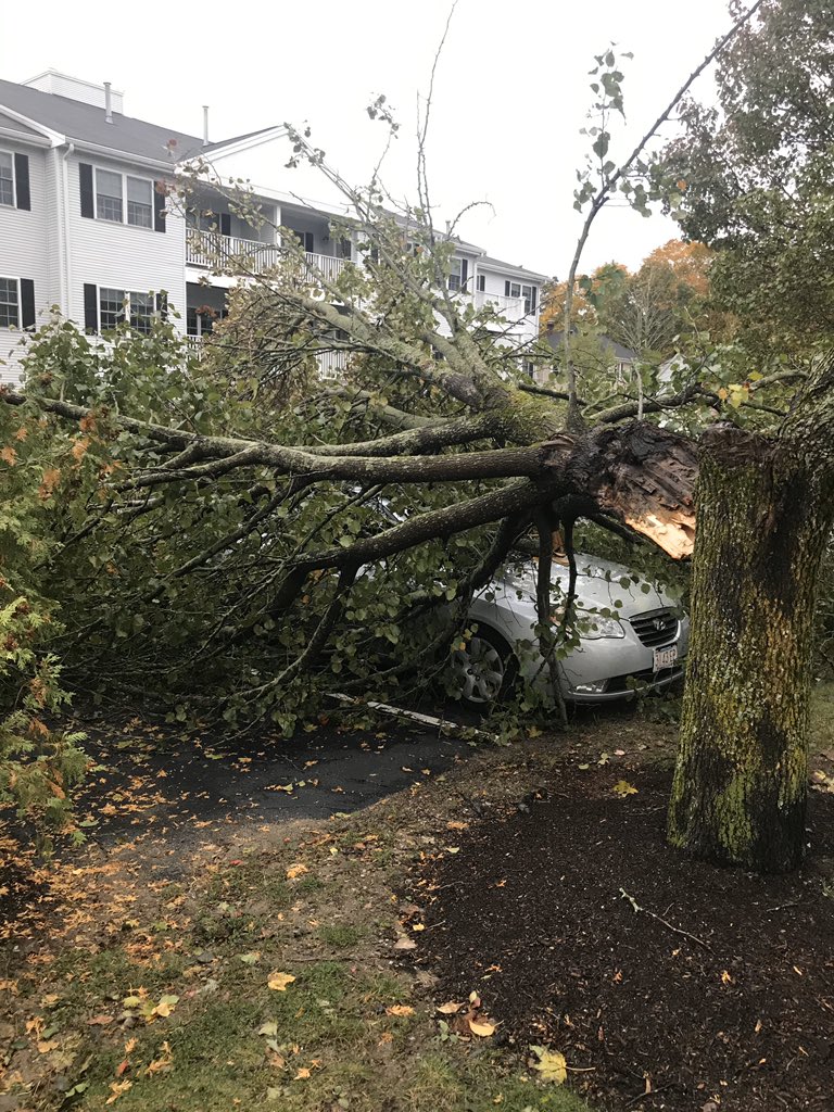 WhitmanFire1769's tweet photo. Whitman Firefighters responding to multiple storm related incidents overnight into this morning.  Pictured:  a tree onto an unoccupied vehicle on Temple St, as well as a tree onto wires on High St. https://t.co/zxLAlGsQlu
