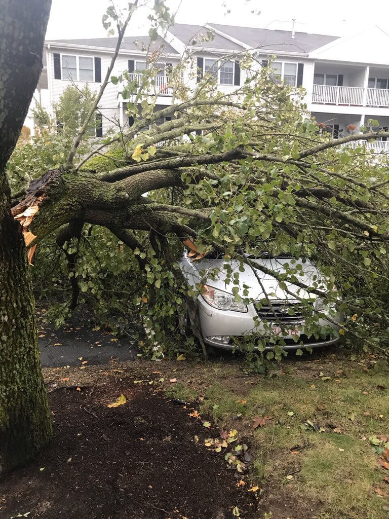 WhitmanFire1769's tweet photo. Whitman Firefighters responding to multiple storm related incidents overnight into this morning.  Pictured:  a tree onto an unoccupied vehicle on Temple St, as well as a tree onto wires on High St. https://t.co/zxLAlGsQlu