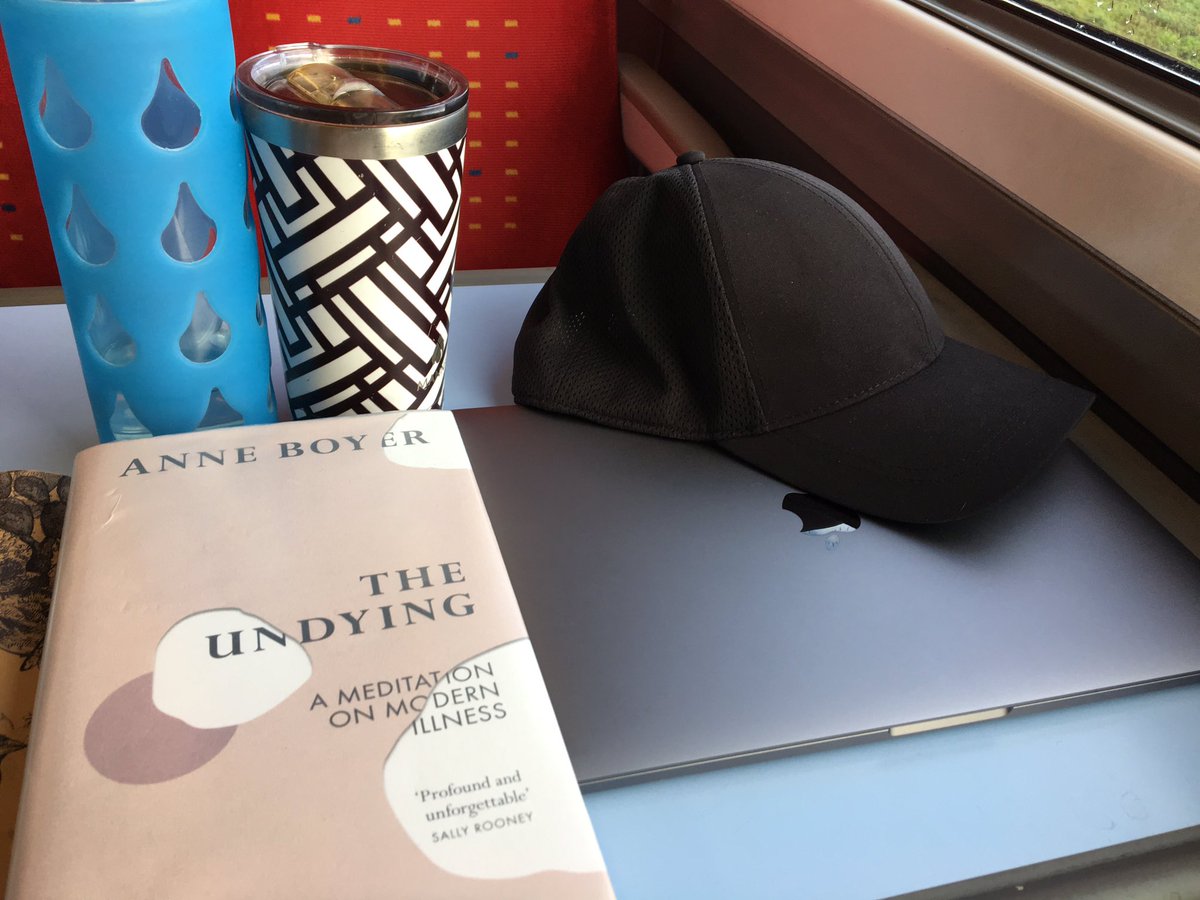 notjamessmart's tweet image. Oh no, I’m stuck on a train to Birmingham on the way to @IAFEnglandWales #iAFMeetup! At least I have Anne Boyer and @jennyhval’s latest for company. Each so beautiful in their own way. Would recommend 😊