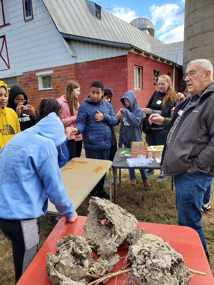 MrSchu23's tweet image. Learning about insects at #MessicksFarm @TaylorTwig #gross #doesitbite