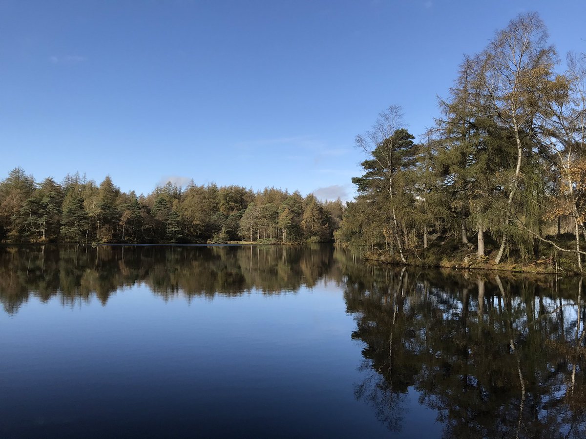 countrywalking's tweet image. Greetings from the @lakedistrictnpa, where we’ve been discovering the glorious Greenwood Trails with @LakesRangers’ Sara Spicer