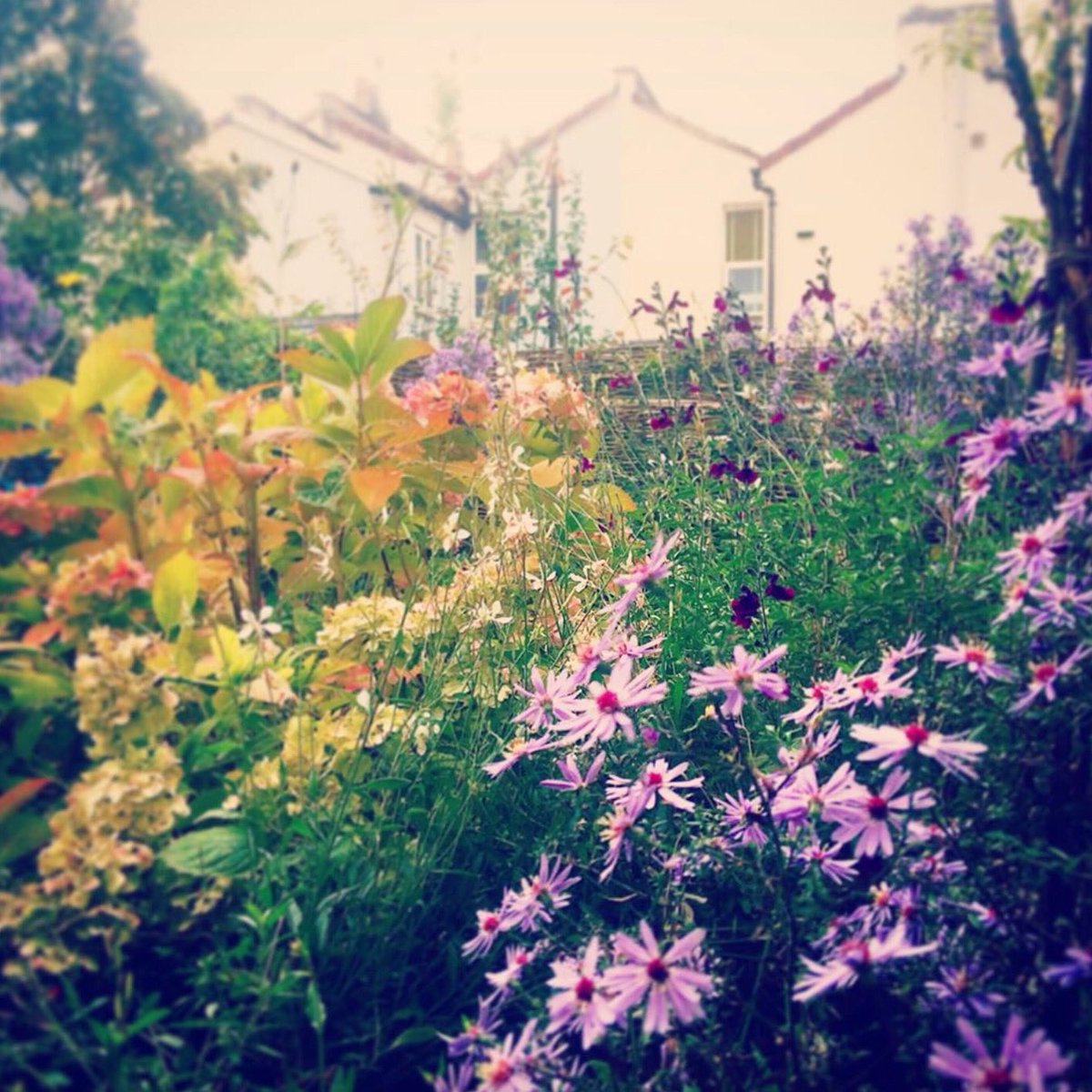 Kate & Tamara tweet media