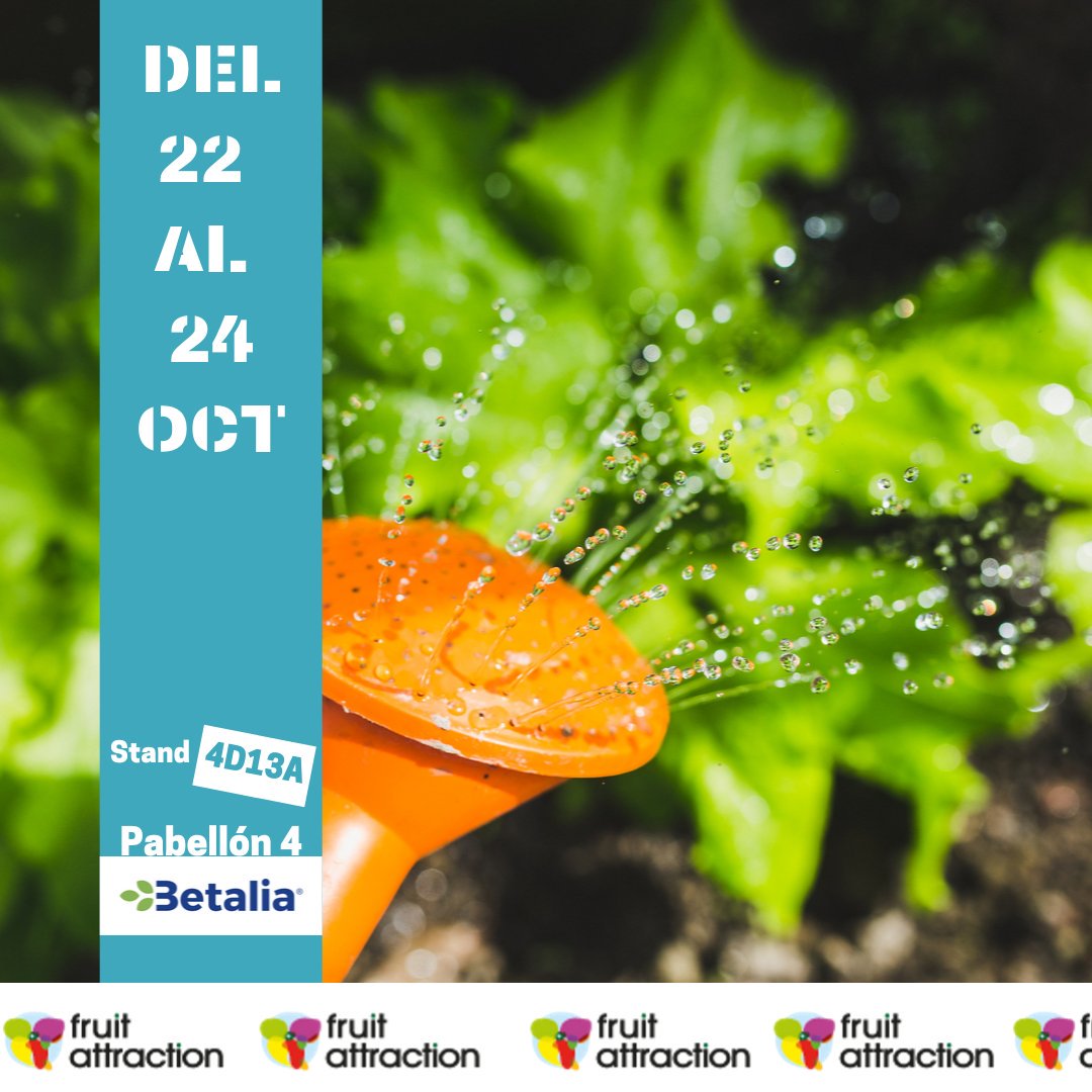 BetaliaES's tweet photo. 💚Cuenta atrás para #FruitAttraction2019 ⏰🙌👇
@FruitAttraction
#Betalia #BetaliaAgro #Stimel #HuertoyJardín #Bioestimulante #Ecológico https://t.co/1cVWrLNnSk