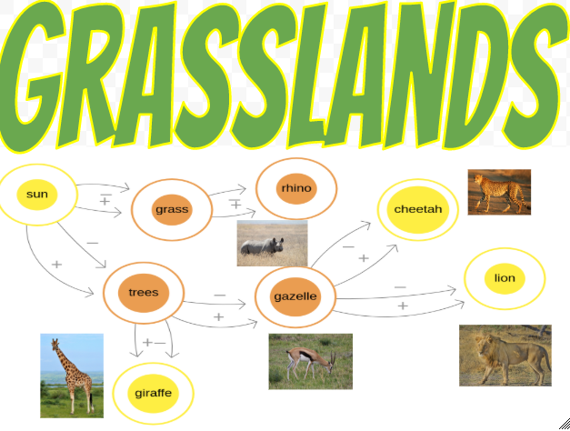 djdaverave's tweet photo. 3rd graders @PembertonElementary created animated food chains (Science SOL 3.5) with Loopy by @ncasenmare and Google Drawings. We conducted research to find out what eats what in our habitat (English SOL 3.10) https://t.co/765kdlZoaU https://t.co/PS6gZDVY3i