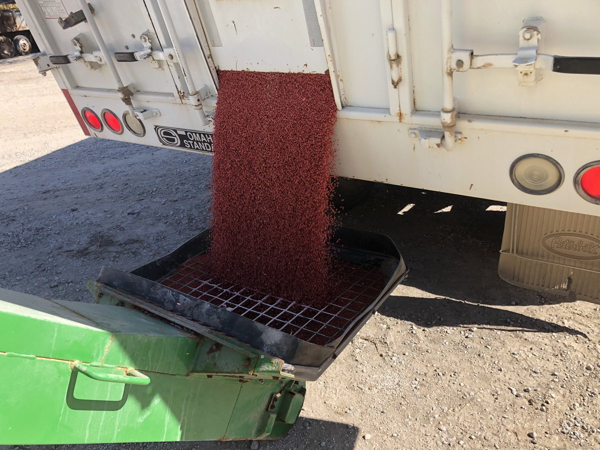 Andrewlee1814's tweet image. Got to start with Quality to get Quantity #Plant #certified seed #WestBred wheat