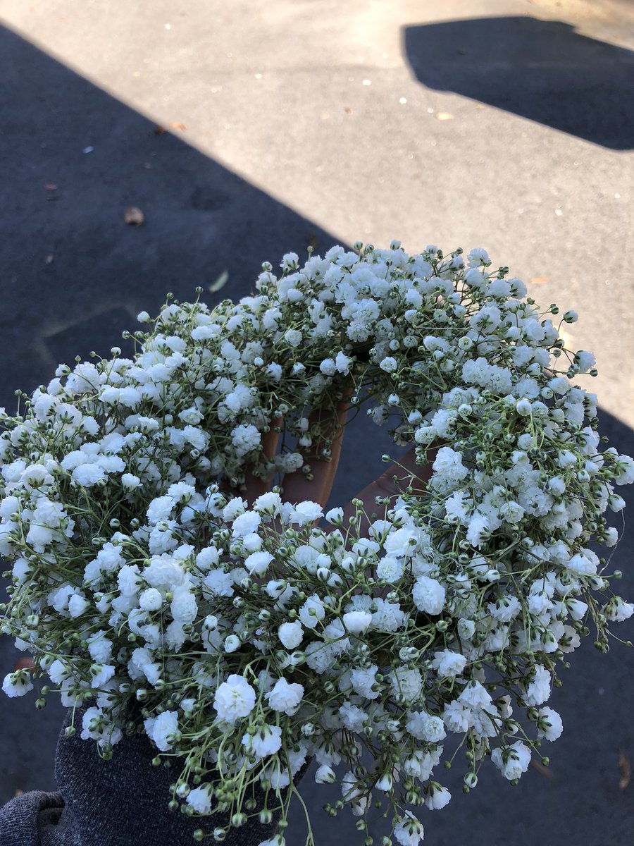Chelish Moore Flowers 💐 tweet media
